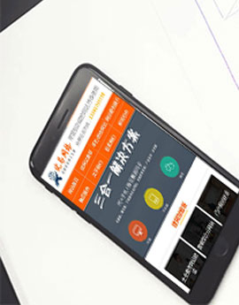 手機網(wǎng)站建設(shè)方案